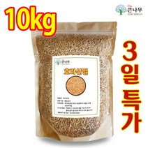 호라산밀카무드이집트쌀 가격검색