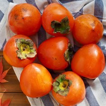 [산지직송] 국내산 대봉감 10kg (중과/41-52과)