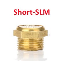 황동 머플러 BSL 수 스레드 공기 배기 소음 공압 소음기 솔레노이드 밸브 PSLL용 BSLM, [01] Long BSL, [06] 3l4BSP