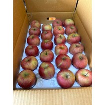 사과 부사 - 10kg 대용량 실속 포장 소형과 - 고랭지사과 강원도 홍천사과, 두입사과 42-43알 10KG, 1개