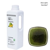 [딜라잇가든] 청귤 음료베이스소스스무디시럽 1kg, 단품