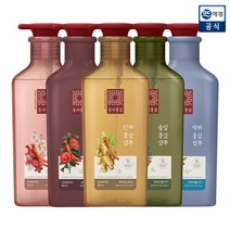 동의홍삼 매화홍삼 샴푸 500ml(모발탄력케어), 1개, 500ml