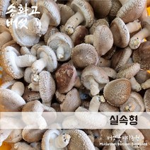 [버섯꽃피다농원] 송화고 버섯 실속형 1kg 500g 의성 국내산 송이향, 가정용 500g