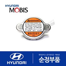 싼타페 (CM) 순정 라디에이터 캡 뚜껑 (2005-2006.09)