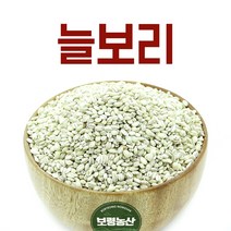 자체브랜드 국산 2021년산 늘보리 1kg 2kg