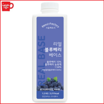 서울팩토리 리얼 블루베리 베이스 1.2kg /블루베리 스무디/블루베리 에이드/탄산/에이드/스무디/블루베리 잼/블루베리 a15
