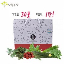 건강즙 1탄 [30포/1박스]개똥쑥즙 외, 어성초즙, 선택옵션