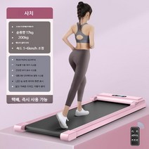 워킹패드 이고진 저소음 가정용 실내 접이식 워킹머신 런닝머신 홈트레킹, B