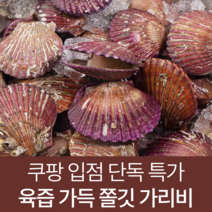 경남제철가리비활어홍가리비1kg고성 인기순위 가격정보