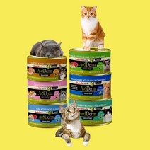 아보덤 주식캔 고양이 습식사료 그레인프리 85g, 치킨&청크