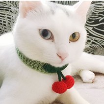 DOG CAT 강아지 고양이 뜨개 케이프 체리 스카프 1P, 05케이프-핑크S