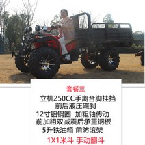 4륜바이크 농촌 효도상품 사발이 사륜 오토바이, 250CC 수직 기계