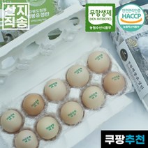 6시내고향 자연방사유정란 백봉오골계 무항생제 계란 초란 난각1번 유정란 영자초란, 10구, 2개