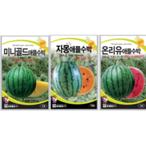 수박 씨앗 이색수박 온리유 미니골드 자몽 애플수박, 미니골드애플수박 10립