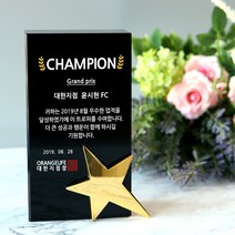 아이상패 ST-31(메탈-금별) 트로피 우승 감사패 공로패, ST-31-80(메탈-금별)