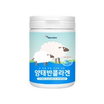 에너데이 양태반콜라겐 분말 저분자 피쉬콜라겐 펩타이드 프락토올리고당 치커리분말 식이섬유 비타민B 뼈 연골 건강 호주산, 1개, 230g