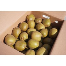 제주도 루비 골드키위 특대과 (550g 1kg 2kg 4kg 5kg), 특대과1kg(7과내)