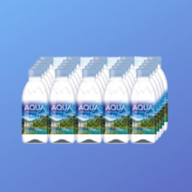 [빅딜] 동원샘물 아쿠아포레 330ml 20병