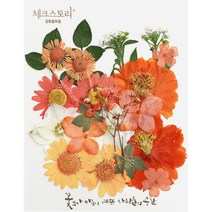 압화 컬러믹스 종합팩 꽃모음 17종 압화공예 액자 레진공예, 오렌지1