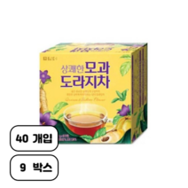 담터 상쾌한 모과 도라지차, 1g, 360개입