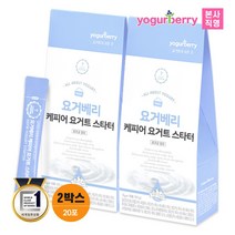요거베리 케피어 스타터 티벳버섯 효모 유산균 20포 (유통기한 20203.06.14), 단품