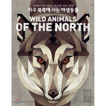 지구 북쪽에 사는 야생동물 : 세상에서 가장 아름답고 환상적인 동물 그림책!, 라이카미