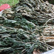 유기농 무청 말린시래기 100g ~ 500g 건 무청 시래기 건시래기 건조시래기 유기농시래기 말린 무청시래기