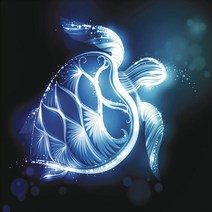 푸른 행운 거북 (패브릭) 보석십자수 30x30, 본상품선택