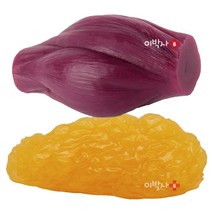 이박사 지방모형 근육모형, 2) 이박사 지방모형 1kg, 알루미늄받침대