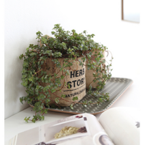 인테리어 쥬트화분커버 4타입 황마 장식소품, 블랙허브스토리