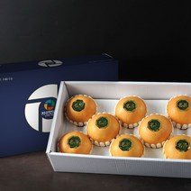 자연진리 나주배 신고배 명절 과일선물세트, 1박스, 5kg 9-10과