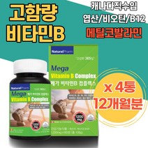 캐나다 완제품 직수입 활력충전 메틸코발라민 메코발라민 적혈구 메티오닌 메가도즈 호모시스테인 생일선물 히드록시코발라민 세포증식 기억력기능 메가도즈 비타민B 보충 구강 혀