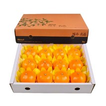 농장직송 고당도 천혜향 3kg 5kg 10kg, 1박스, 천혜향 3kg 특대(11~13과)