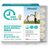 비타민하우스 캐나다원어데이 멀티비타민앤멀티미네랄맥스90정 비타민 미네랄, 90정, 1개