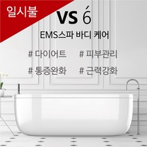 EMS 스파 바디케어 VS6