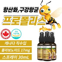 캐나다 프로폴리스 스프레이 플라보노이드 항산화제 구강항균 입냄새 면역력 높이는 영양제 플로폴리스 폴리폴리스 성장기 어린이 청소년 여성 남성 중년 갱년기 노인 식약처 식약청 인증, 3개, 30mL
