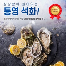 통영 굴 석화 10Kg, 1개