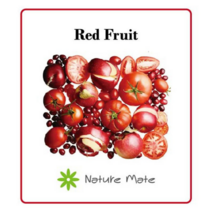 네이처메이트 프래그런스 오일 100mL 디퓨저 캔들 향수 석고 방향제 만들기 DIY 재료, RED FRUIT 레드후루츠