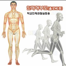 우리 몸 3D/과학 실험 키트 교구 도구 만들기