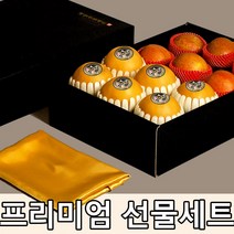 [산지직송] 제이블릭 나주 신고배 사과 혼합 과일 프리미엄 고급 추석 선물세트, 혼합 6kg 배7-8+사과10-12(보자기O)