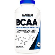 뉴트리코스트 BCAA 류신 단백질 알약 운동전 부스터 500정, 1개, 기본