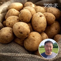 제주직송 노지감자 5kg중/대/특, 02.포슬포슬 노지감자 5kg (대)