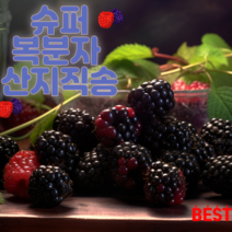 농장직송 23년 햇 슈퍼복분자 무농약 햇 생 냉동 토종 복분자 1kg 2kg, 2kg(슈퍼복분자 급냉), 1개