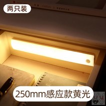 자동센서등 스카이 블랙 등불을 밝히다 복도 통로등 가정용 침대 밑 인체 감응 전등갓집 계단식 칸 LED 2619555367, 구매하면 일송일 250MM 감응대 엘