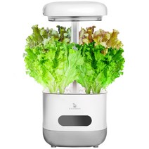 에코박스 LED 수경재배기 식물재배 HB