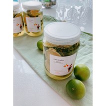 파파본과일수제청 제주청한라봉청500g 과일청청한라봉청 답례품250g 500g, 딸기청