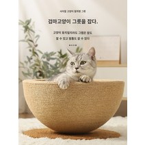 애완 사이잘 고양이 모래 고양이 긁는 판 고양이 긁는 그릇 1개 내마모성 및 비흘림 사계절 다용도 소파 침대 고양이 용품, A.업그레이드된 기울어진 엘크 고양이 스크래치 보드 고, M-중간