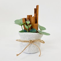 [몽파] 데코 찰흙 계피 화분 만들기 (1인용 5인용 택 1)