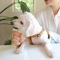 3개월강아지개껌 강아지양치 대형견개껌 뉴트리오 7종 껌, 1개, 고구마