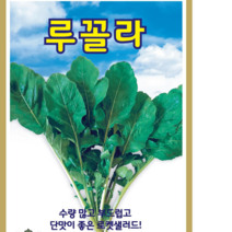 (씨앗) 루꼴라 로켓셀러드 3000립 종자 루꼴라씨 KS종묘 채소재배, 1개